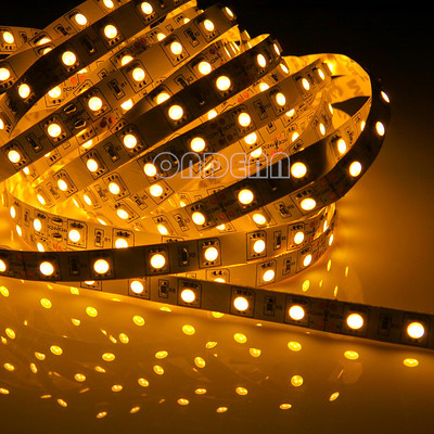 IP22 SMD5050 DC12/24V LED Strip Light