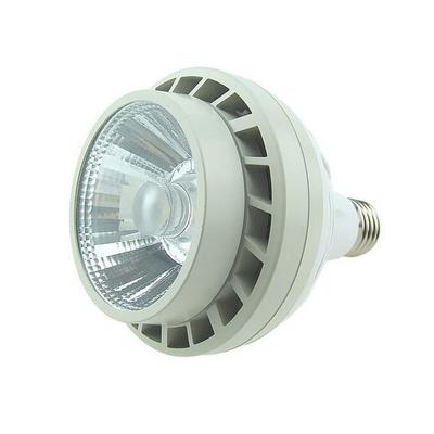 35W COB LED PAR30 Light