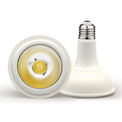PAR38 LED18W COB Spotlight