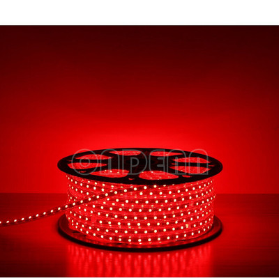 SMD5050/3528 110/220V LED Strip Light