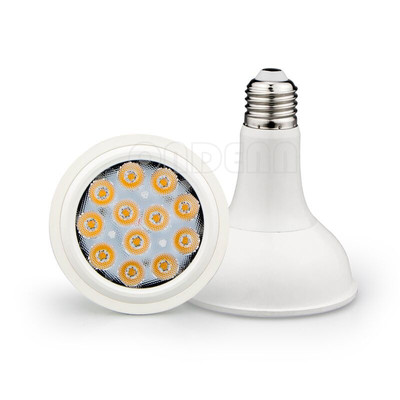 9/12W 110/220V LED PAR30